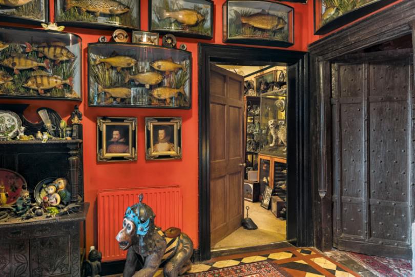 Музей курьезов Виктора Вунда – странное место в одном из районов Лондона