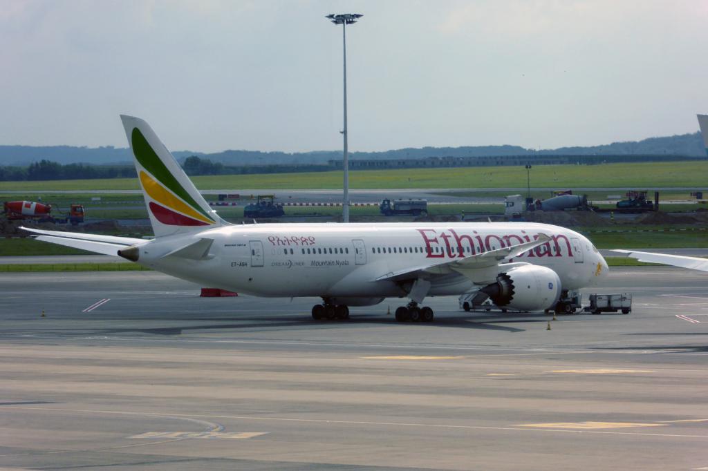 Ethiopian Airlines хочет летать из Аддис-Абебы в Москву через Стамбул