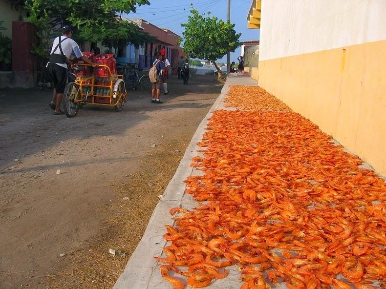 Мескальтитан – мексиканская Венеция, где креветок сушат прямо на тротуаре