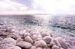 Мертвое море превращается в чудо