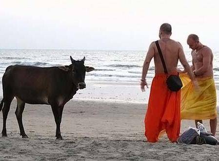 Не только буддистов бесят голые туристы