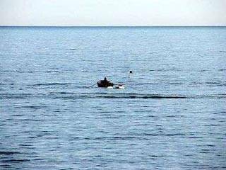 В Черном море утонули два запорожца