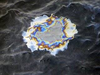 Пятна нефти обнаружены рядом с Сочи и Туапсе