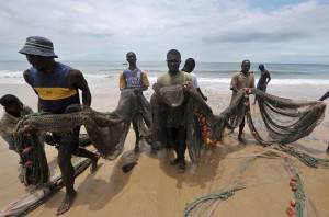 Пляжи Сьерра-Леоне атакуют водоросли
