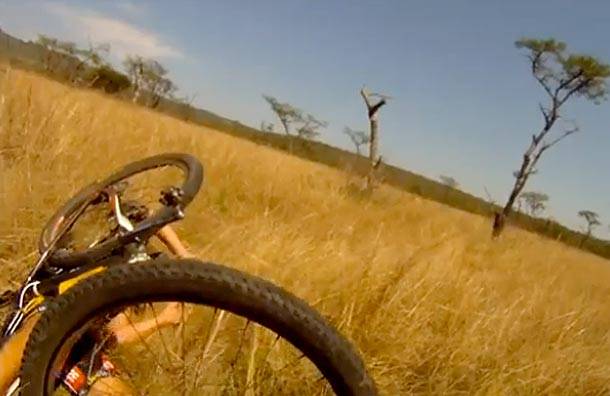 Видео антилопы, которая сбивает велосипедиста, взорвало интернет (+ВИДЕО)
