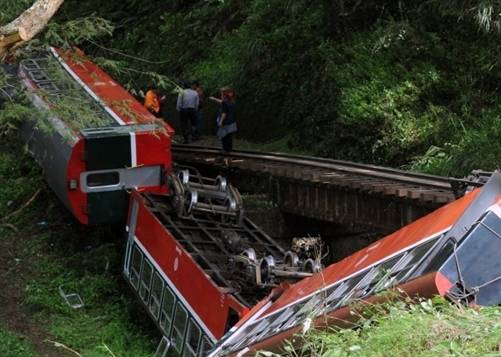 В китайском лесу перевернулся поезд с туристами