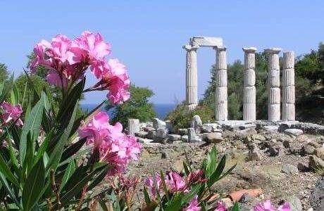 Греческий остров стал лучшим пляжным курортом