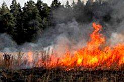 Пожары в Хорватии и Испании не затронули турзоны