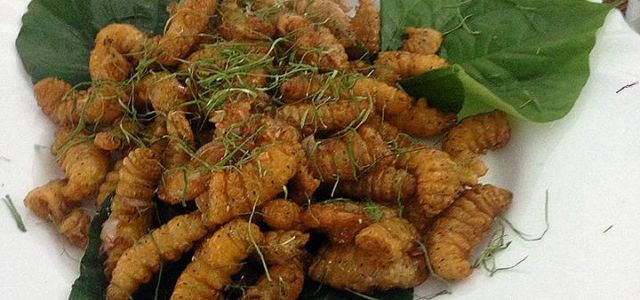 Клопы во фритюре и сыр с личинками: где едят насекомых
