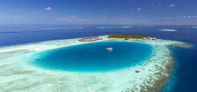 Забота о кораллах в Baros Maldives
