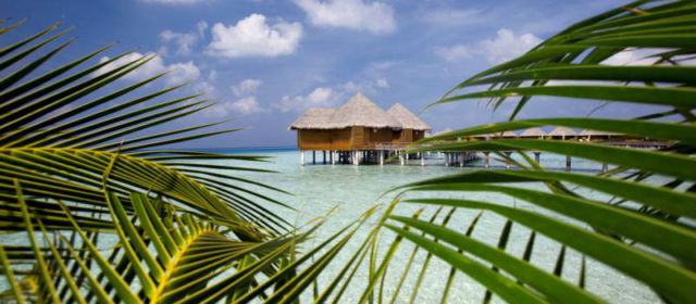 Обновление клятв на курорте Baros Maldives