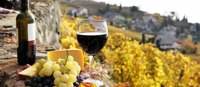 Цены на испанское вино взлетели из-за плохого урожая винограда