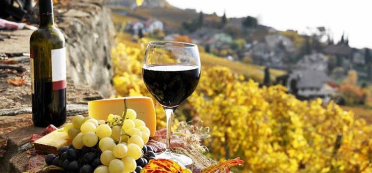 Цены на испанское вино взлетели из-за плохого урожая винограда