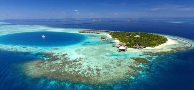 Исследование океанических скатов-мант в отеле Baros Maldives