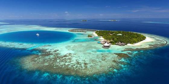 Прогулки под водой с морскими биологами курорта Baros Maldives