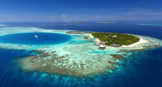 Прогулки под водой с морскими биологами курорта Baros Maldives