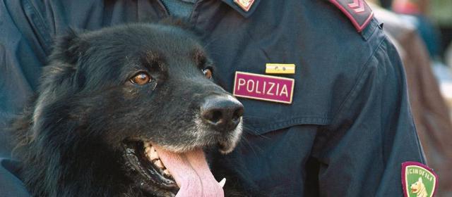 В Генуе туристов будут штрафовать собаки
