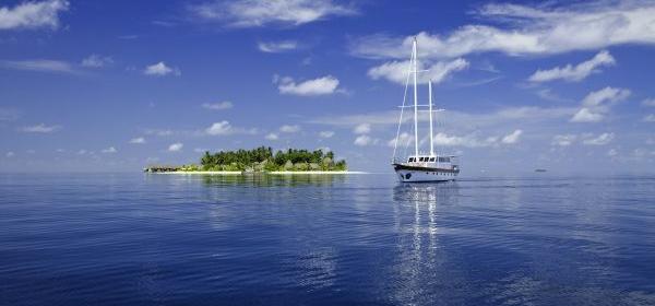 Kandolhu Maldives воспользовался пандемией для восстановления морской флоры и фауны