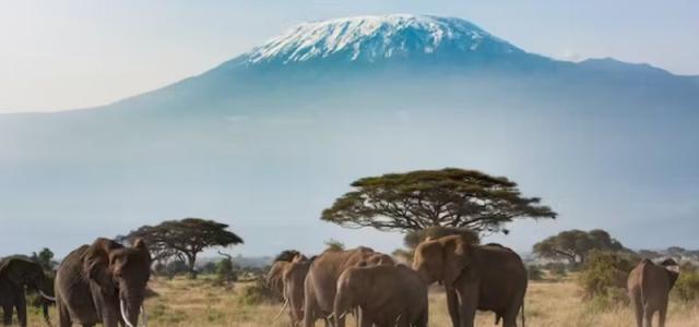 На отдых в Танзанию: туристические направления 2023-го года